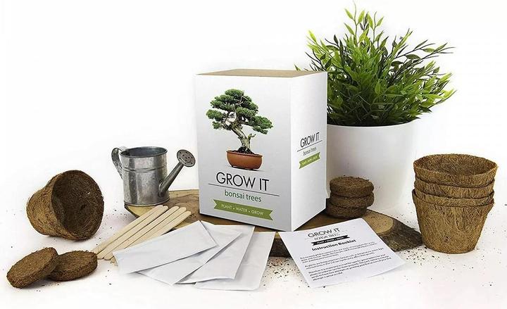 Produktbild Mags Grow it Bonsai (Pflanzensamen)