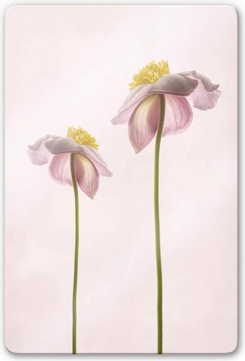 Produktbild Trenddeko Sommerlust (40 x 60 cm)