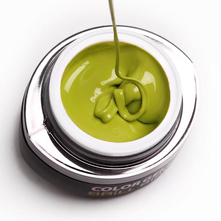 Immagine prodotto BrillBird Gel Brush & Go G22 - 4,5ml (Smalto)