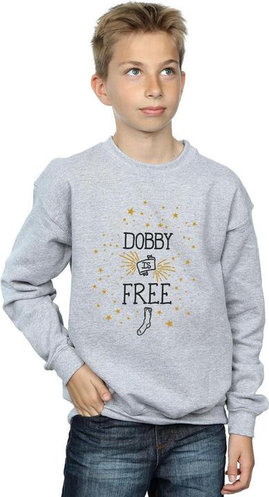 Actual product image Boys Dobby Is Free Sweatshirt (152, 158)