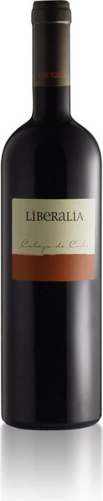 Produktbild Liberalia Enológica Cabeza de Cuba Crianza Selección Toro DO (1 x 75 cl)
