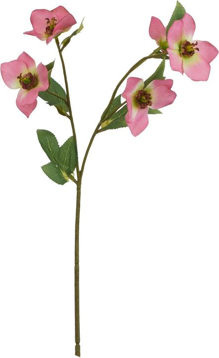 Immagine prodotto Hill Interiors Kunstblume (47 cm)