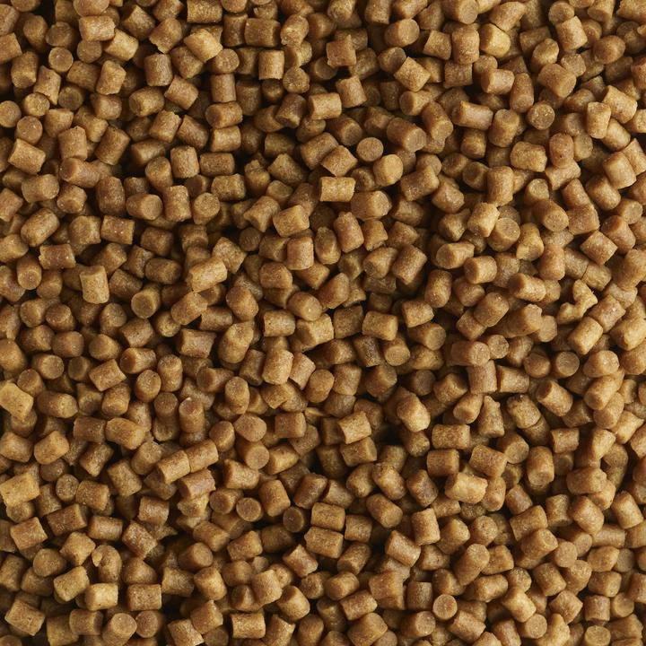 Actual product image Caperlan gooster pellet feeder 4mm 328376