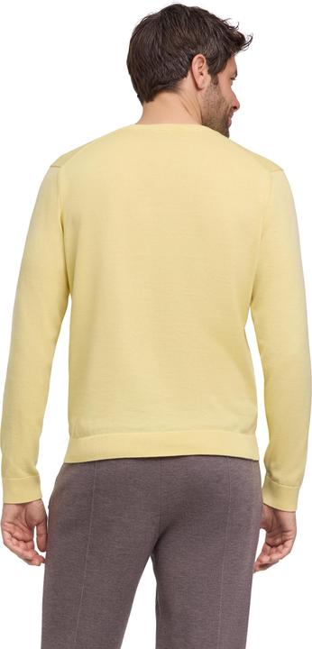 Immagine prodotto Falke FAV Cotton V-Neck m (XL)
