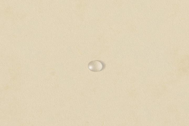 Actual product image Exacompta Folder (A4, 1 x)