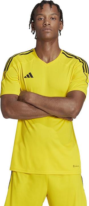 Actual product image adidas Tiro 23 Jersey Men (M)