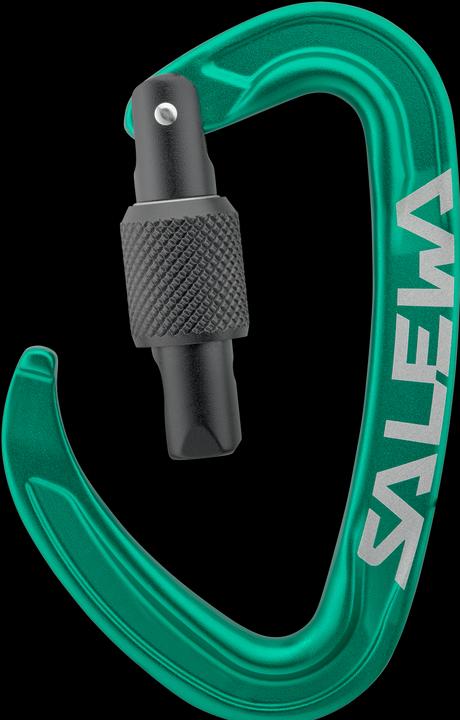 Image du produit Salewa Ortles Screw Carabiner