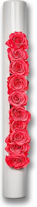 Actual product image Flowerbox Roses in ceramic Infinity-Bloom bigTube (Infinity Flowers)