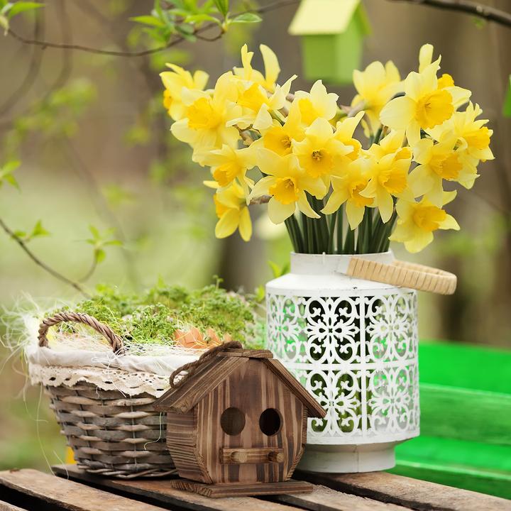 Actual product image Relaxdays Decorative Bird House