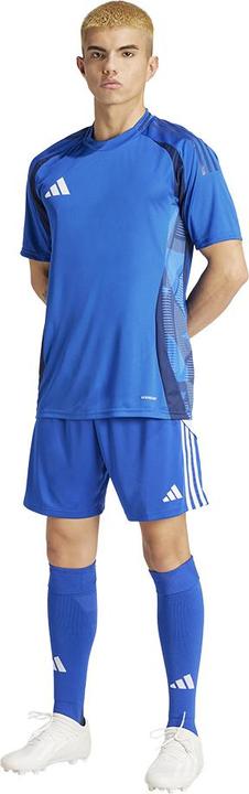 Actual product image adidas TIRO24 SHORT (L)