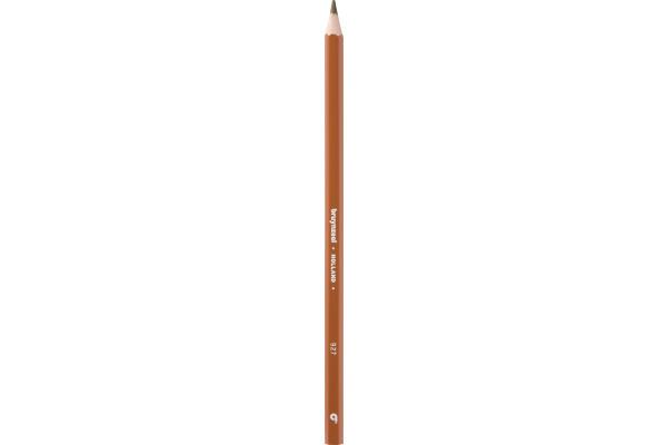 Actual product image Bruynzeel Colored pencil Colorexpress (Ochre)