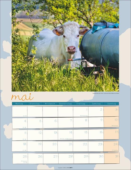 Produktbild Kuh Kalender 2026 (30 x 39 cm, Deutsch)