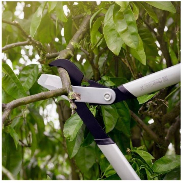 Actual product image Fiskars Branch shears bypass PowerGearX LX