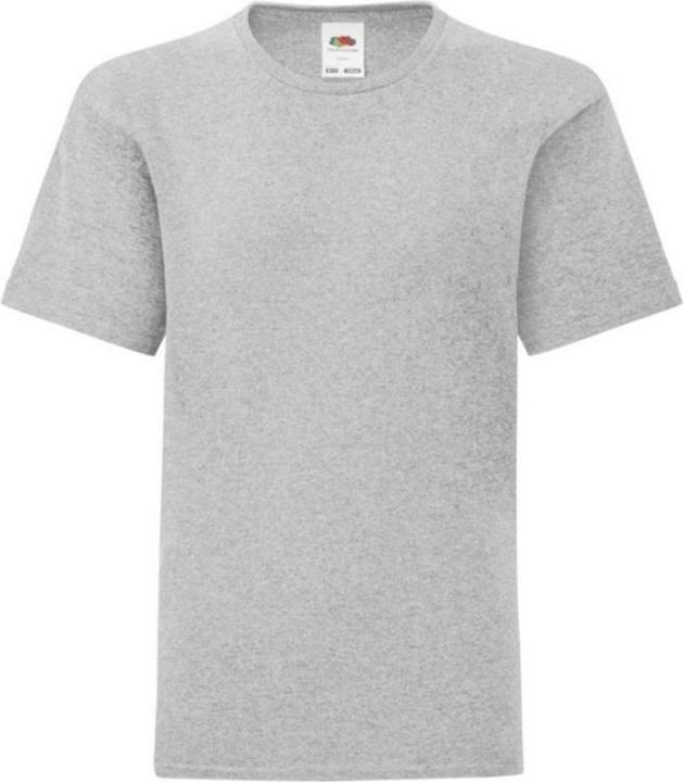 Fruit of the Loom Iconic Heather TShirt