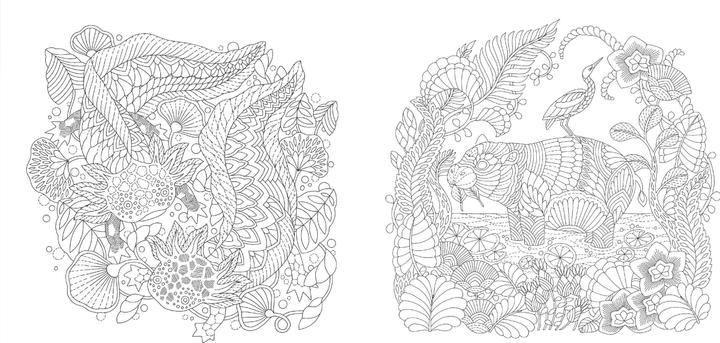 Actual product image Millie Marotta's Wonderful Planet - The most beautiful colouring adventures
