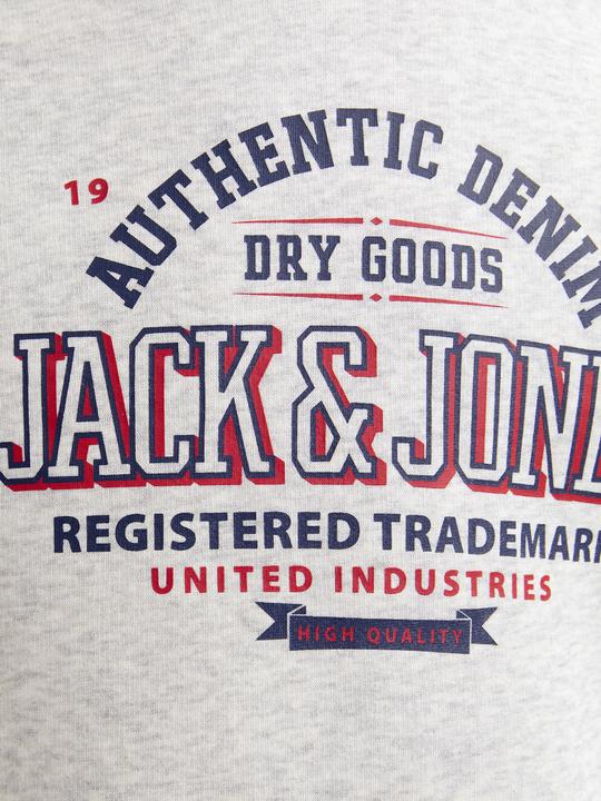 Produktbild Jack & Jones JJELOGO SWEAT HOOD 2 COL 24/25 NOOS JNR (128)
