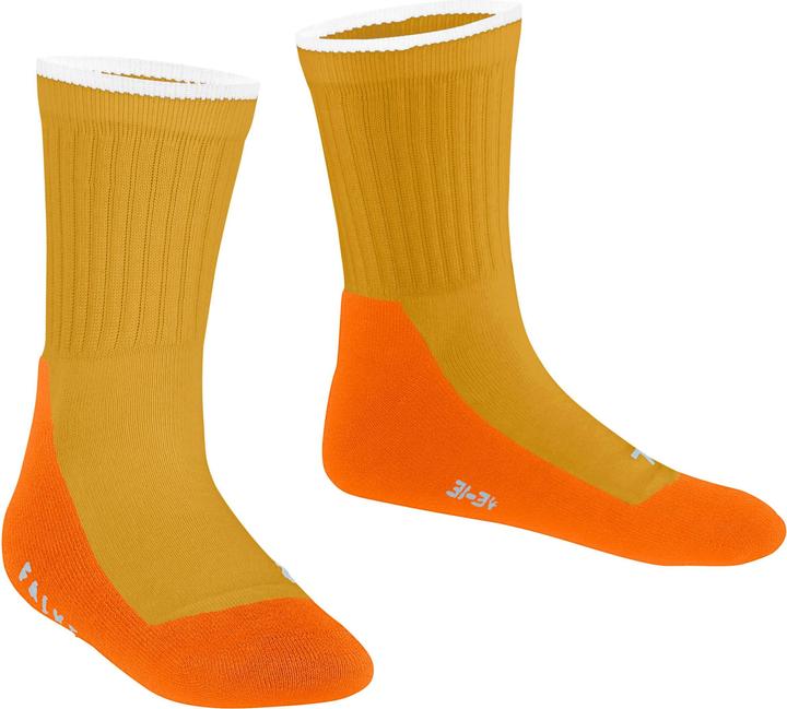 Actual product image Falke Active Everyday Kids Socks (19 - 22)