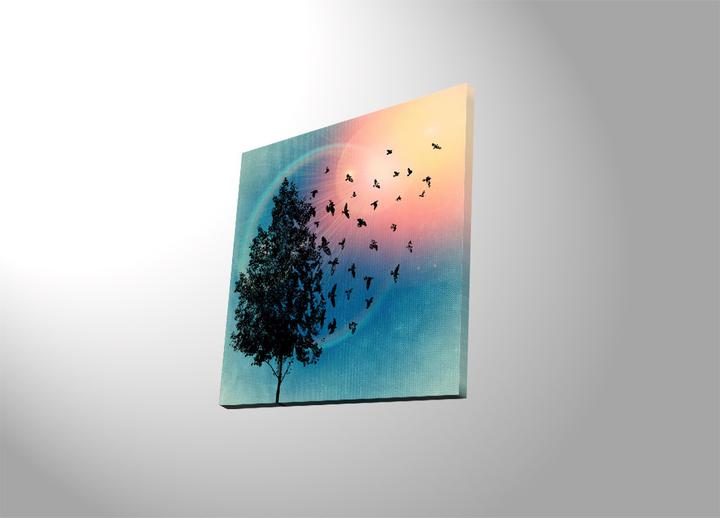 Produktbild Wallxpert Kody (40 x 40 cm)