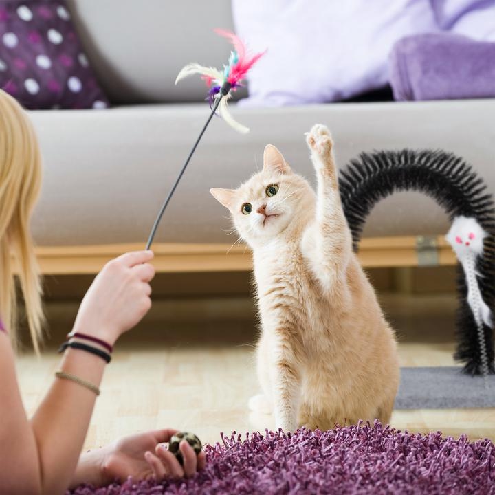 Immagine prodotto Relaxdays Arco Massaggiatore per Gatti, Cura del Pelo (Gatto)