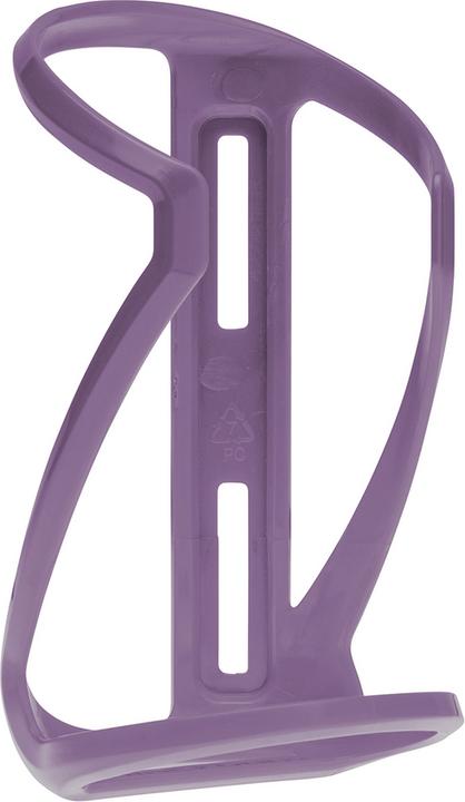 Viola