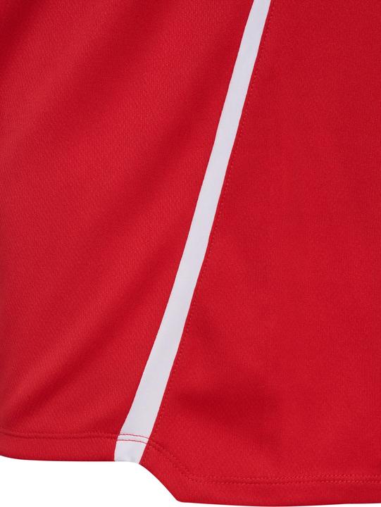 Immagine prodotto hummel hmlLEAD 2.0 HALF ZIP (L)