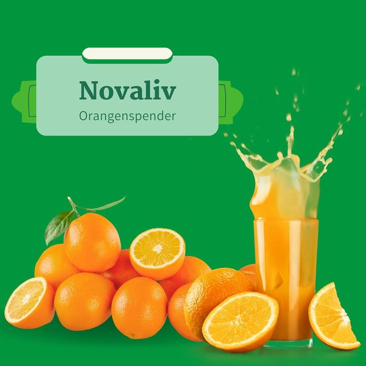 Immagine prodotto Novaliv 2er Set praktischer Orangenspender 9x44x32cm Orangenhalter Spirale Stahl 9x44x32cm stilvoll