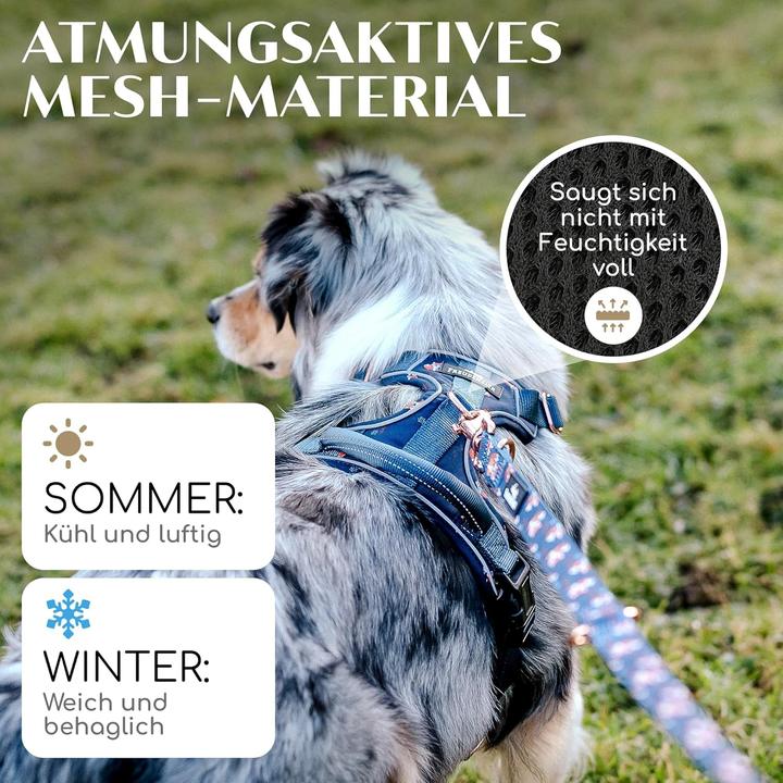 Image du produit Freudentier Atmungsaktives Hundegeschirr mit Griff & Polsterung (M, Chien)