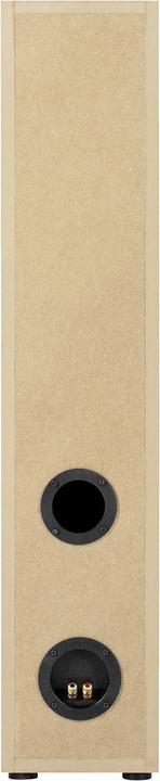 Immagine prodotto Monacor Diffusore Hi-Fi a colonna (1 pz.)
