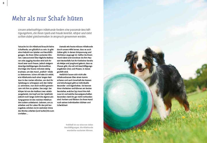 Actual product image Spiele und Action für ausgeglichene Hütehunde (German, Marion Albers, 2023)