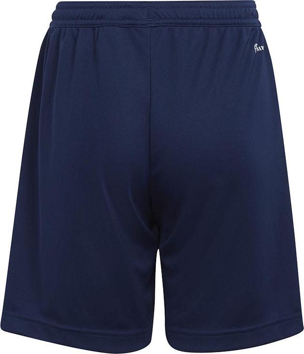Actual product image adidas Entrada 22 Shorts (152)