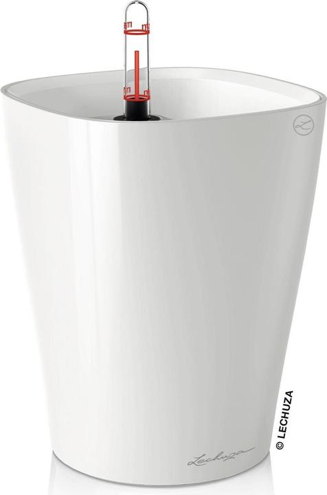 Produktbild Lechuza Deltini (15 cm)