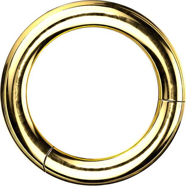 Star Piercing Segmentring klappbar vergoldet (Titan G23, ohne Messing)