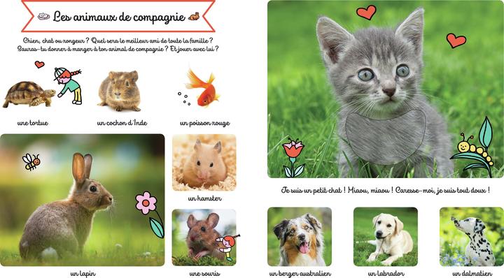 Produktbild Larousse jeunesse Le grand imagier des animaux à toucher (Französisch, Collectif, 2022)