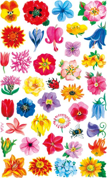 Produktbild Z-Design Creative flower