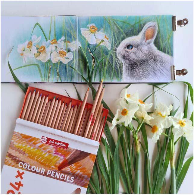 Actual product image Royal Talens Art Creation coloured pencils, round, case of 24 (Multicoloured, 24 x)