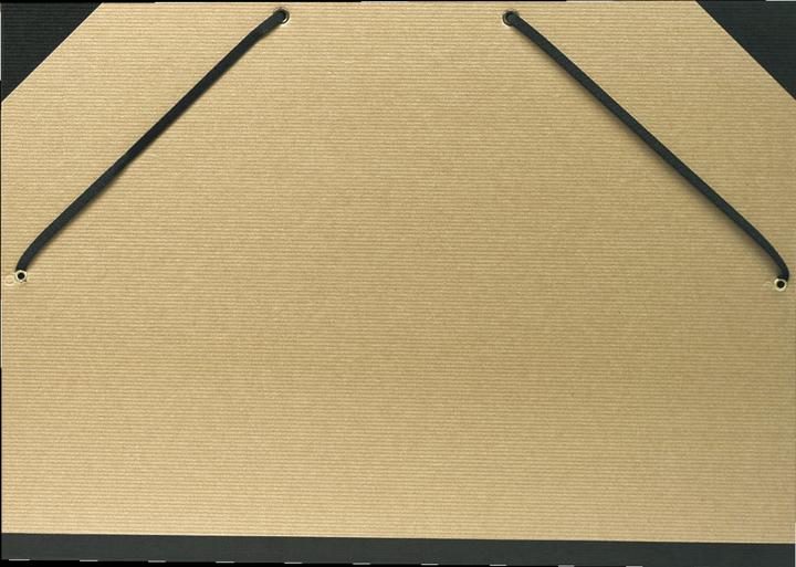 Actual product image Exacompta Portfolios (A3, 1 x)