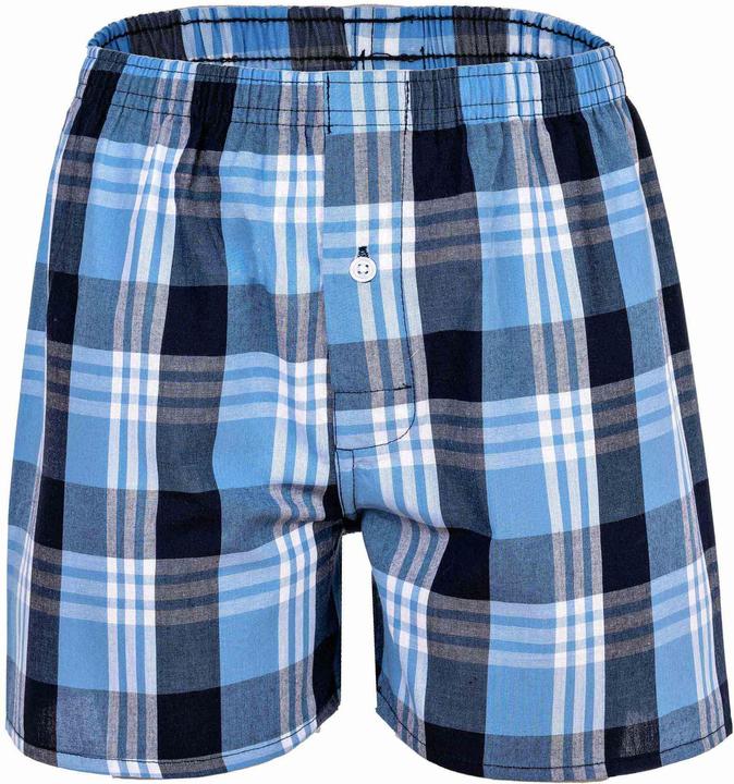 Image du produit Your Basics Boxers tissés Casual Coupe ample (188, paquet de 7)