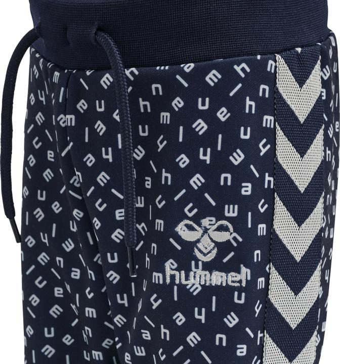 Actual product image hummel Troy Pants (68)