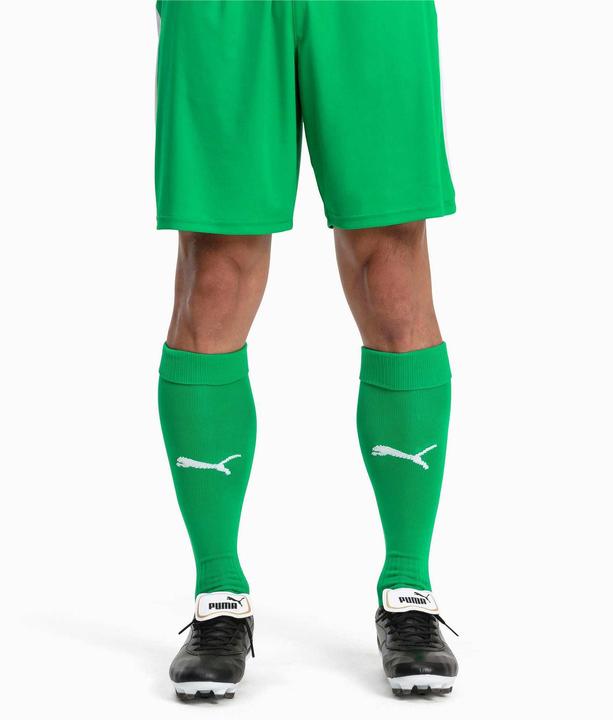 Actual product image Puma Team LIGA Socks CORE-703441 (31, 34)