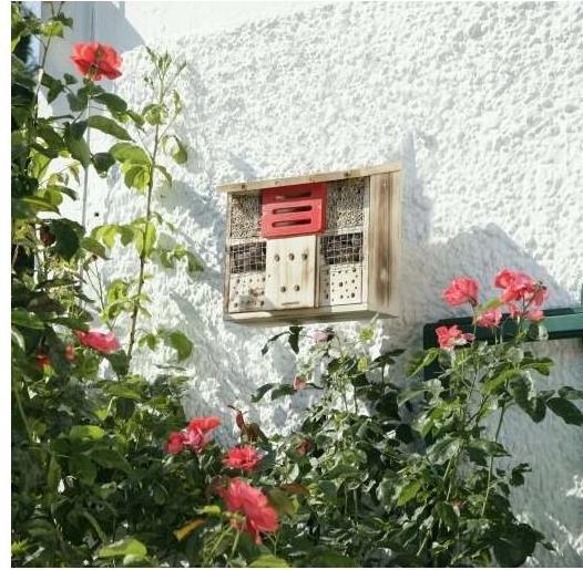 Image du produit Windhager Le tilleul (Chrysanthèmes, Bourdons, Coccinelles, Chansons accrocheuses, Abeilles sauvages)