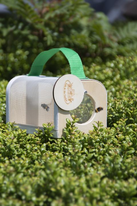 Image du produit Gardenlife Boîte d'observation d'insectes (KG229)