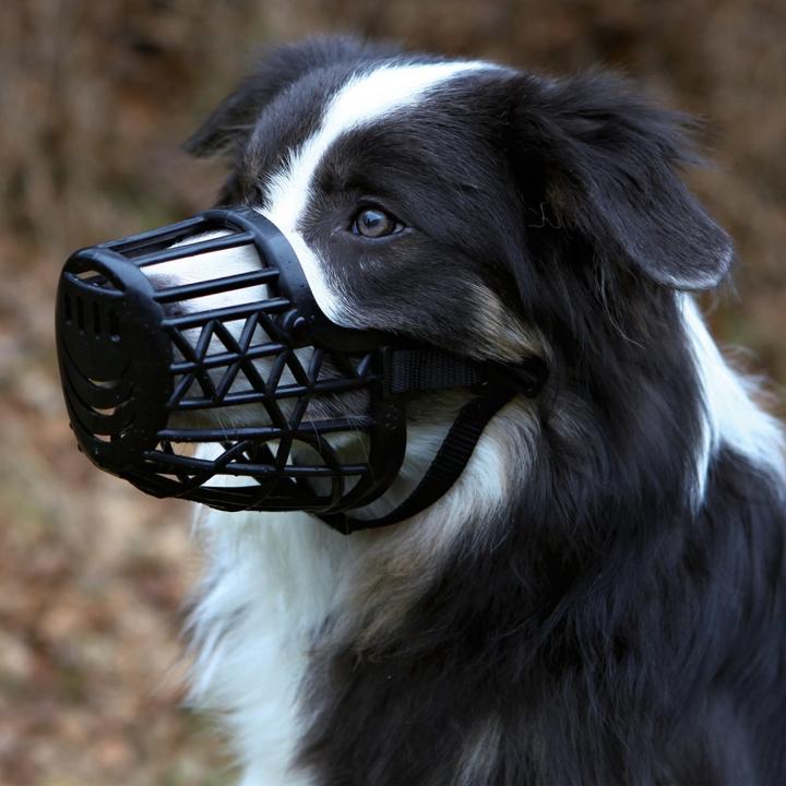 Image du produit Trixie Muselière (S, Chien, Promenade)