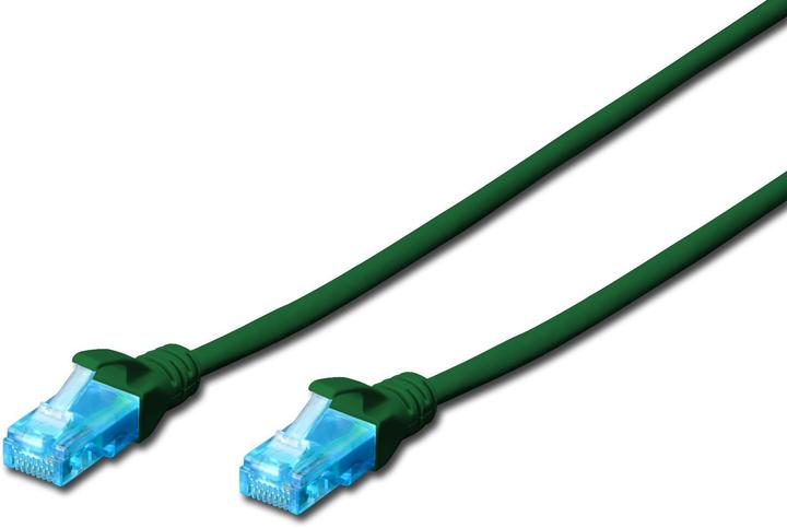 Vert