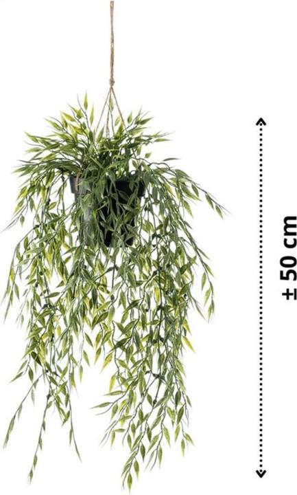 Actual product image Emerald Kunstpflanze (50 cm)
