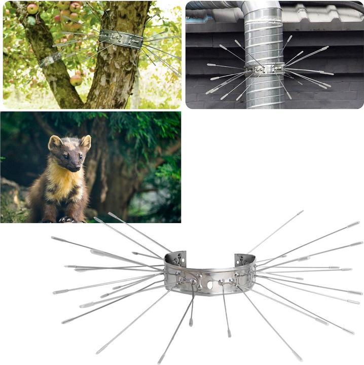 Isotronic Marder-Abwehrgürtel für Regenrohre oder Bäume, 4 Stück