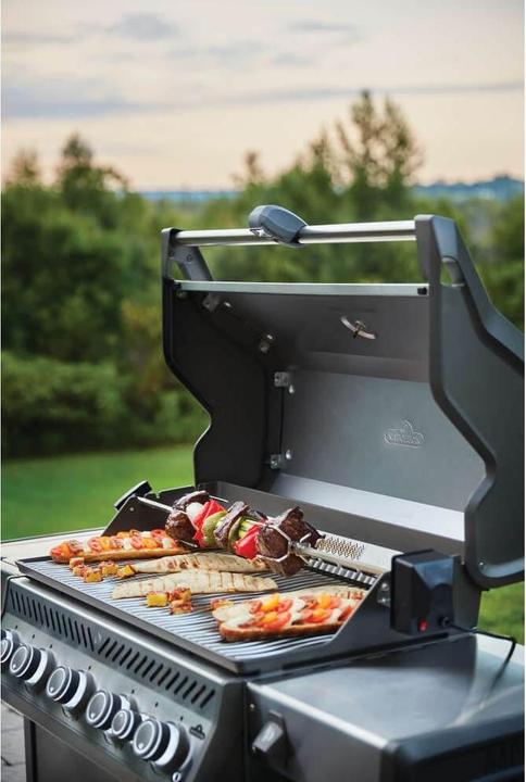 Produktbild Napoleon Napoelon Rogue 625SE (30.25 kW)