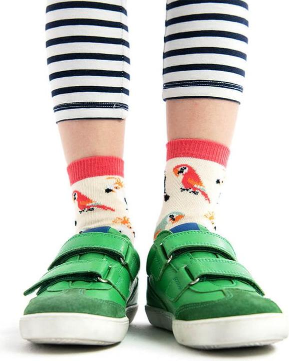 Produktbild DillySocks lil Sand Aviary (Einzelpack, 19 - 22)