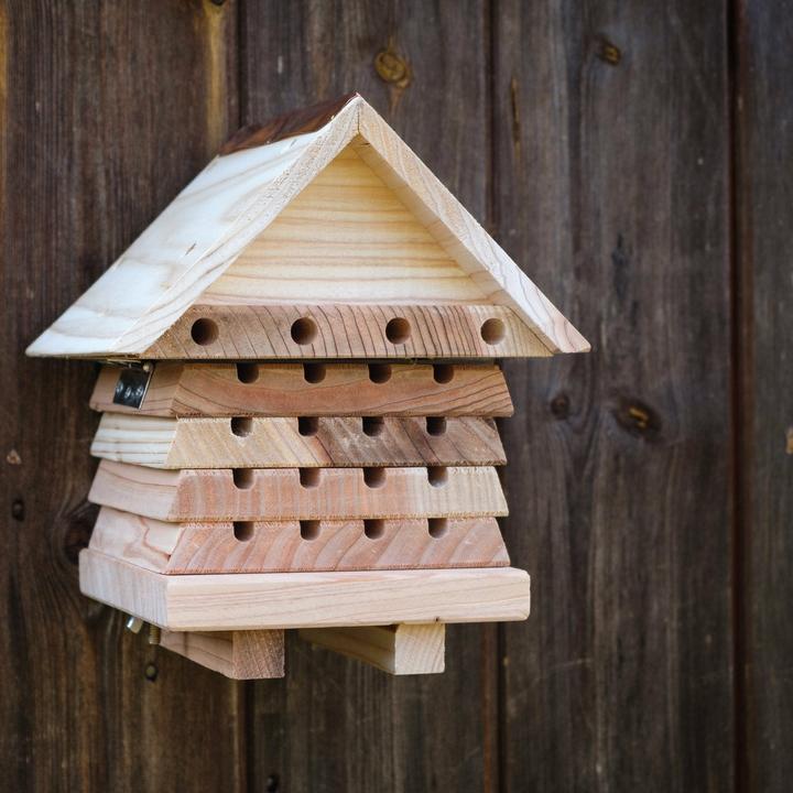 Immagine prodotto Wildlife World Hotel per insetti Hotel per api solitarie, specie animale: insetti (Api)