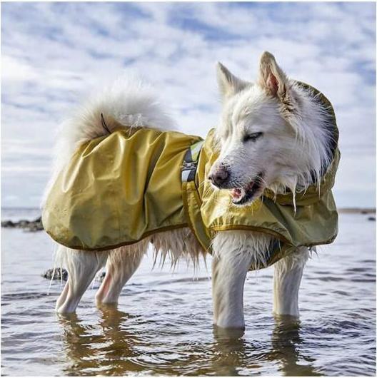 Image du produit Hurtta Mudventure Manteau réfléchissant pour chiens 50 (50, Manteau pour chien)