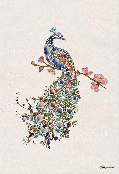 Produktbild Universal Textiles Poster Pfau (40 x 50 cm)